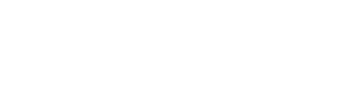 CI Services LLC