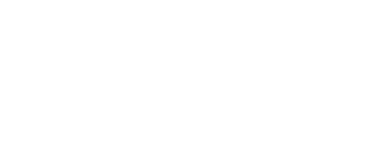 SDT Logo