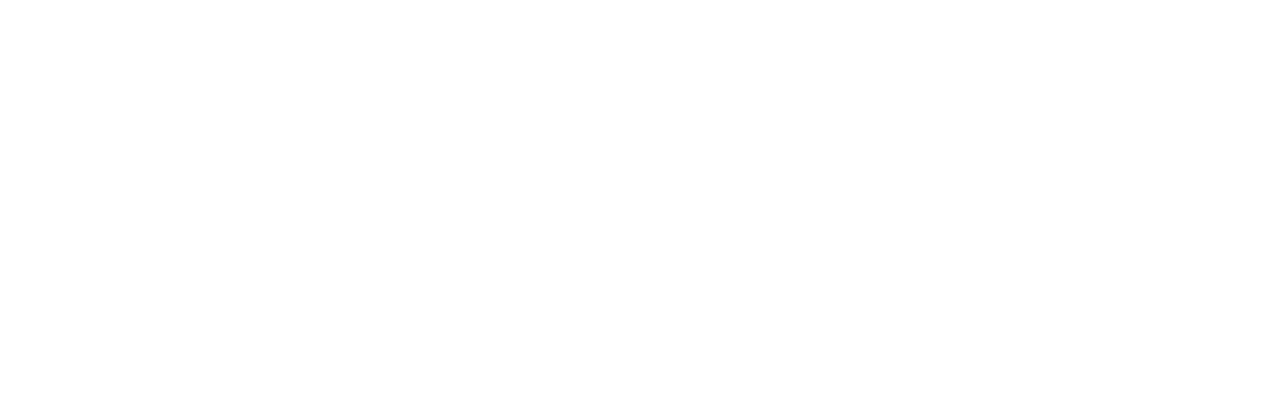 Wirecomm Logo